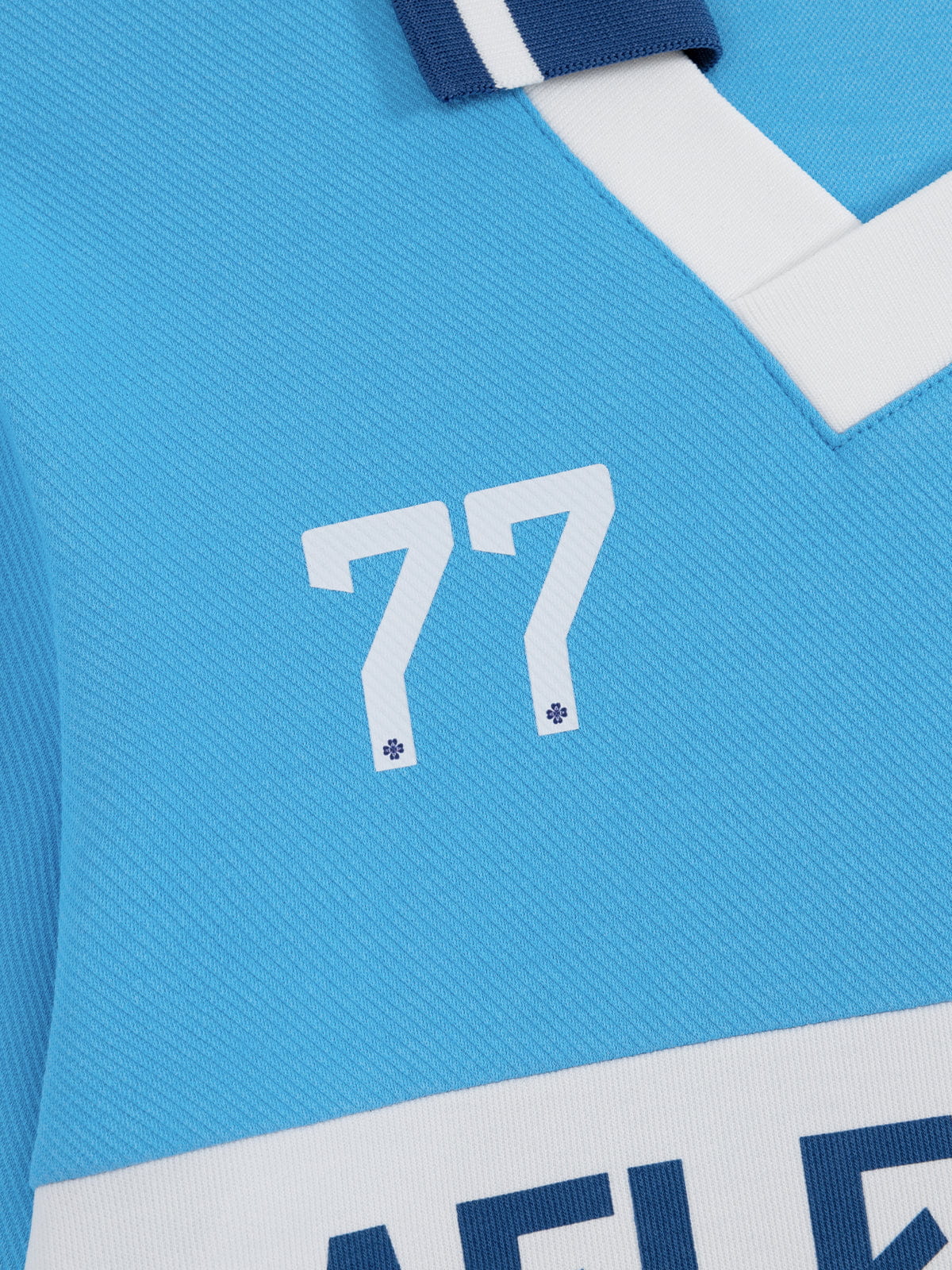 Aelfric Eden 77 V-Neck Cropped Jersey