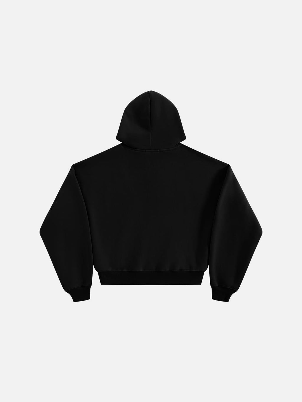 Aelfric Eden Solid Pullover Boxy Hoodie