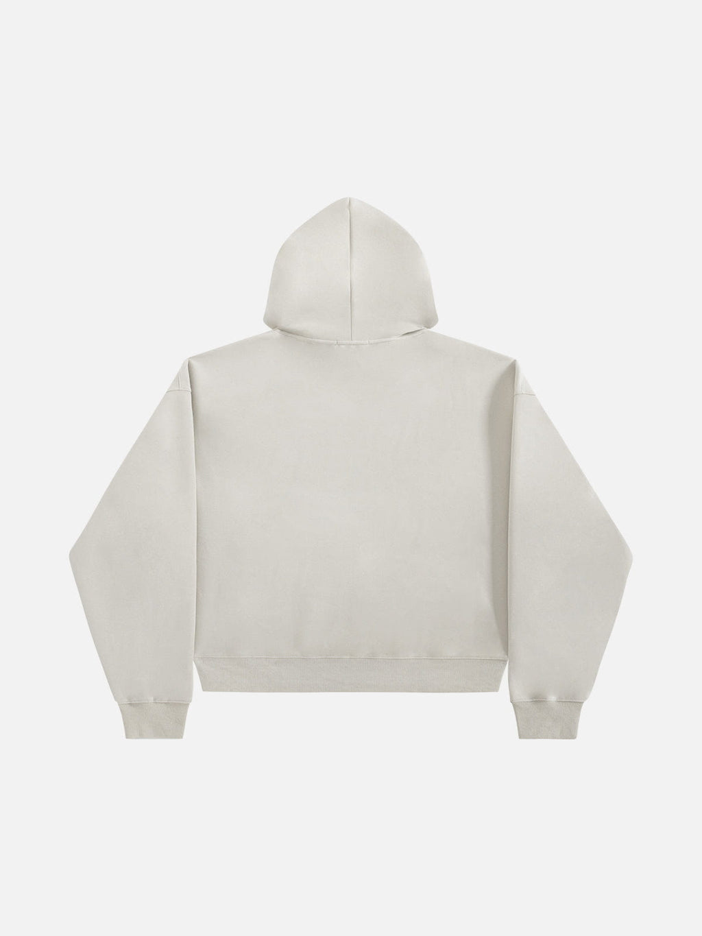 Aelfric Eden Oversized Blurring Doberman Graphic Hoodie