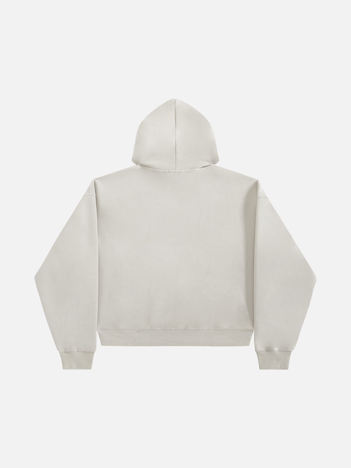Aelfric Eden Oversized Blurring Doberman Graphic Hoodie
