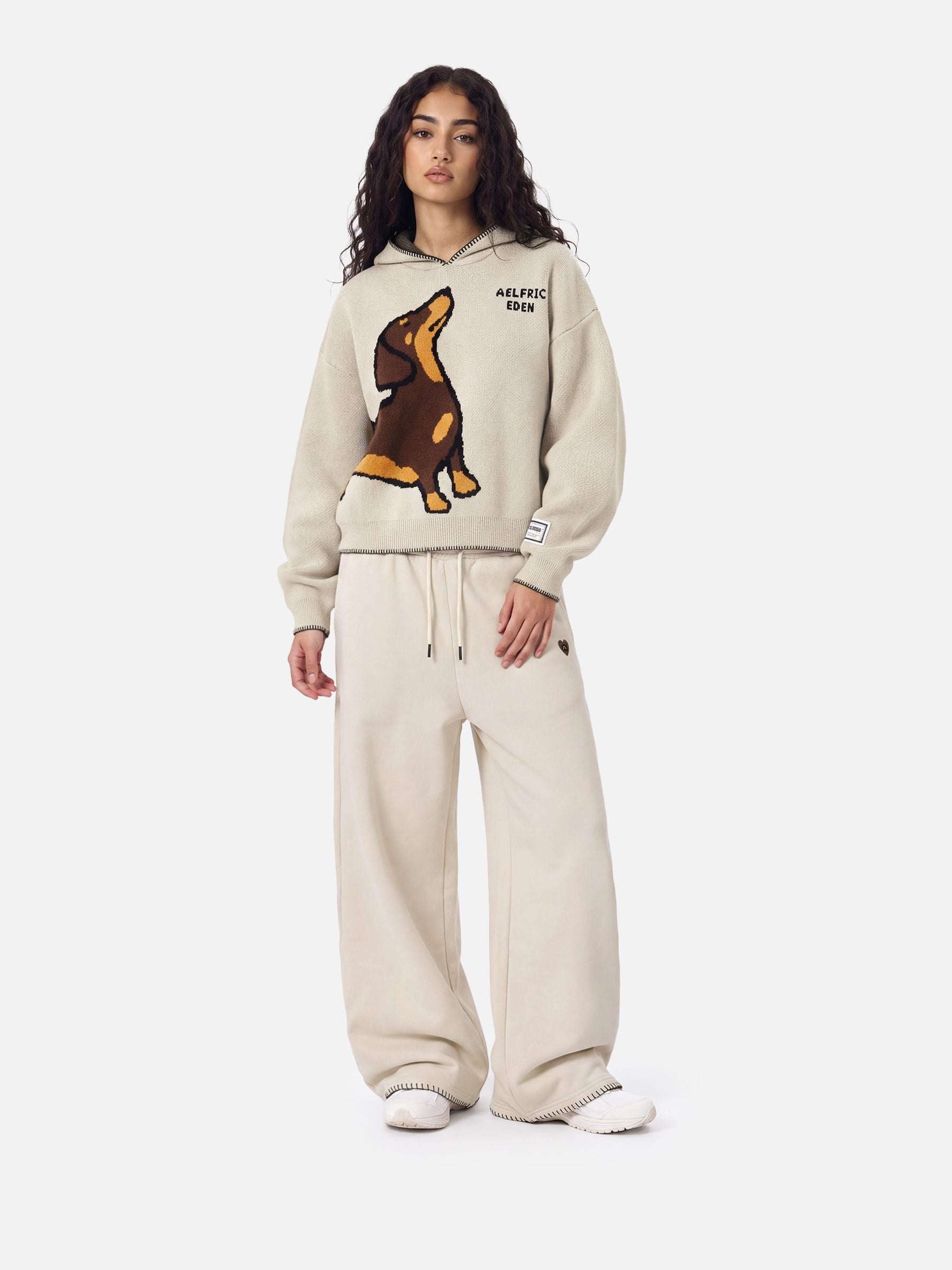 Aelfric Eden Boxy Dachshund Knit Pullover Hoodie