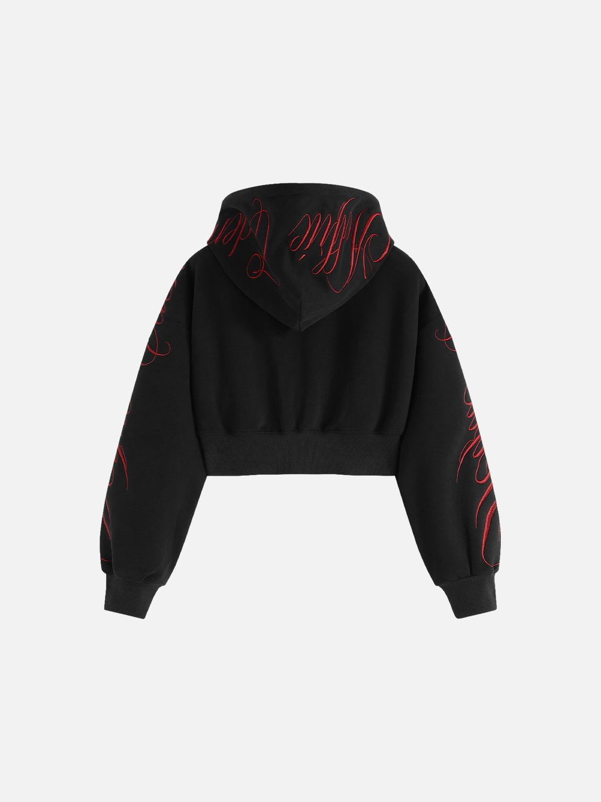 Aelfric Eden Boxy Script Embroidery Zip Up Hoodie