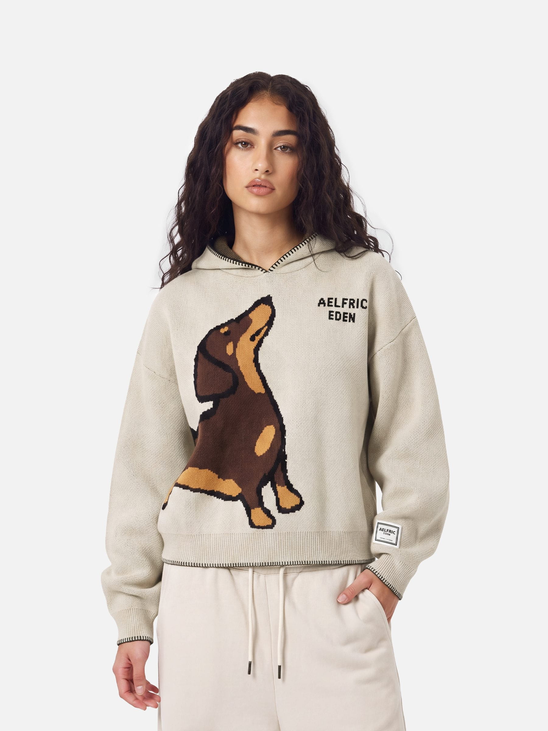 Aelfric Eden Boxy Dachshund Knit Pullover Hoodie