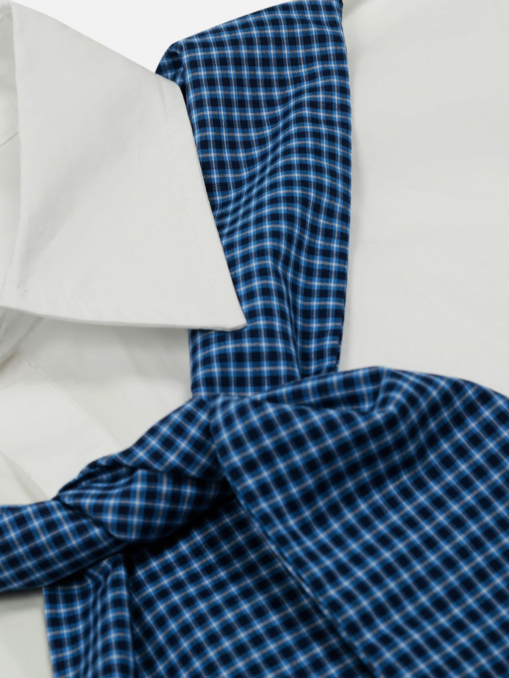 Aelfric Eden Plaid Necktie Shirt