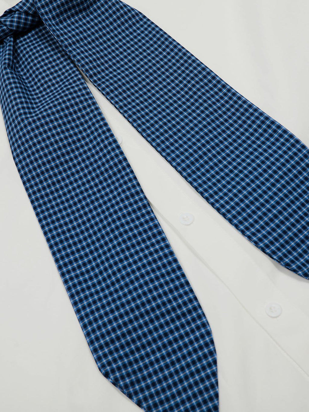 Aelfric Eden Plaid Necktie Shirt