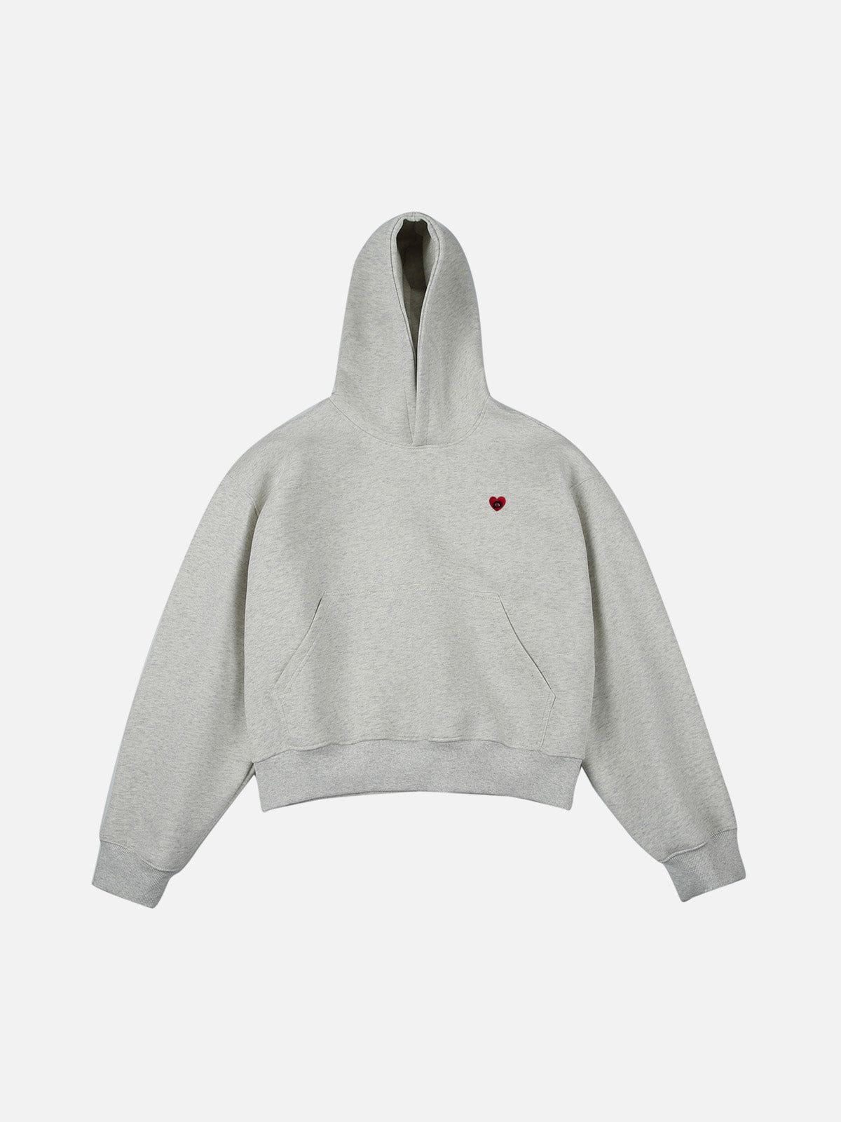 Aelfric Eden Solid Pullover Boxy Hoodie