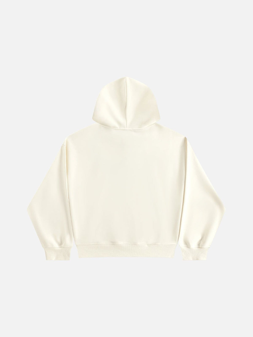Aelfric Eden Oversized Whale Pullover Hoodie