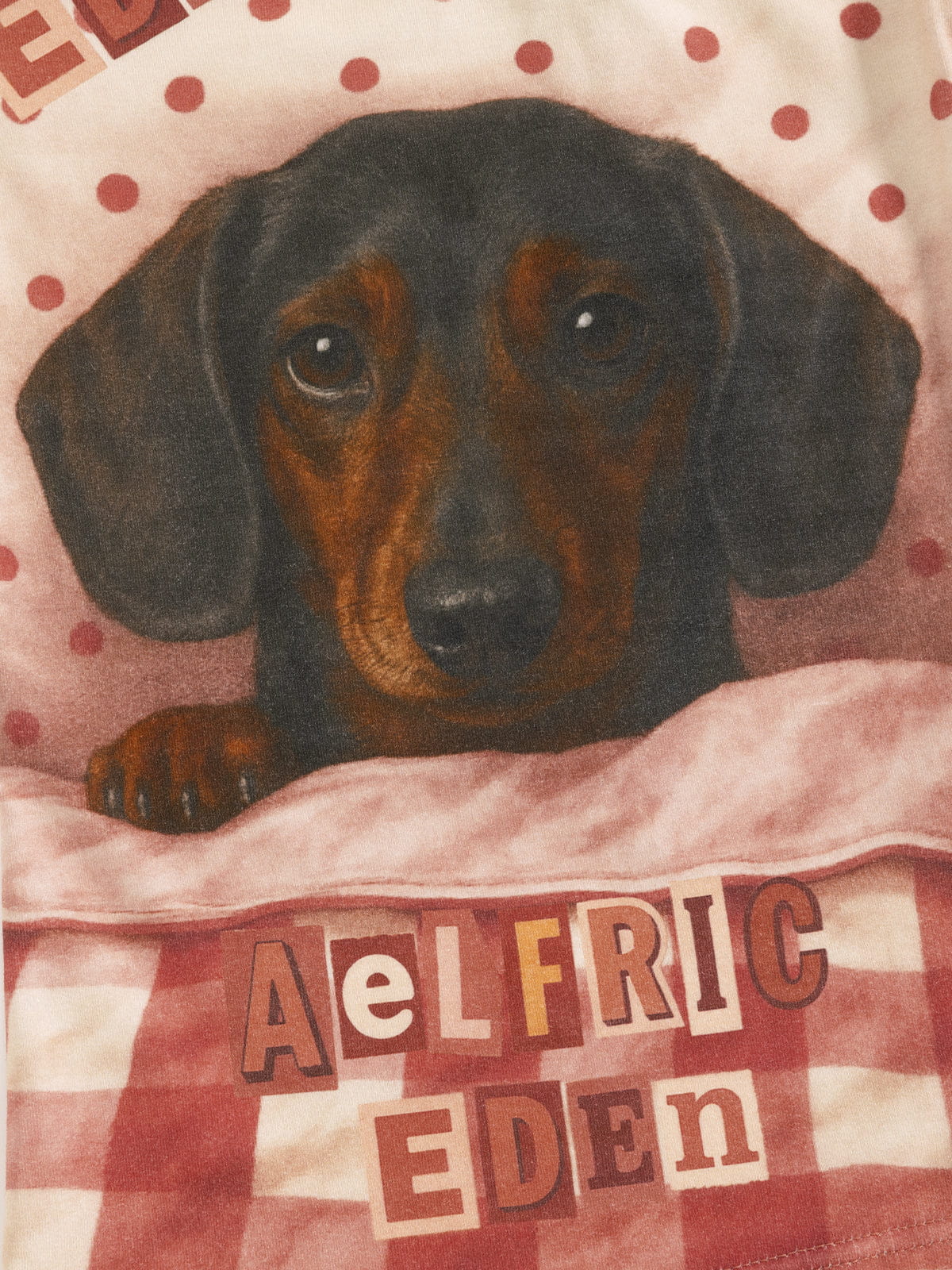 Aelfric Eden Polka Dot Dachshund Off-the-Shoulder Tee