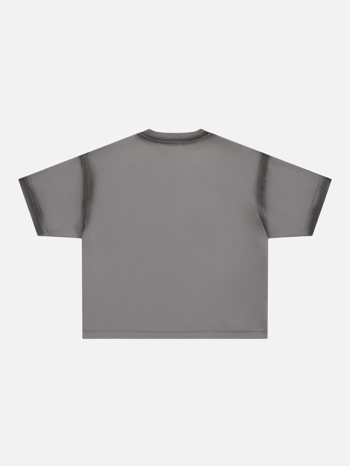 Aelfric Eden Boxy Blur Washed Tee