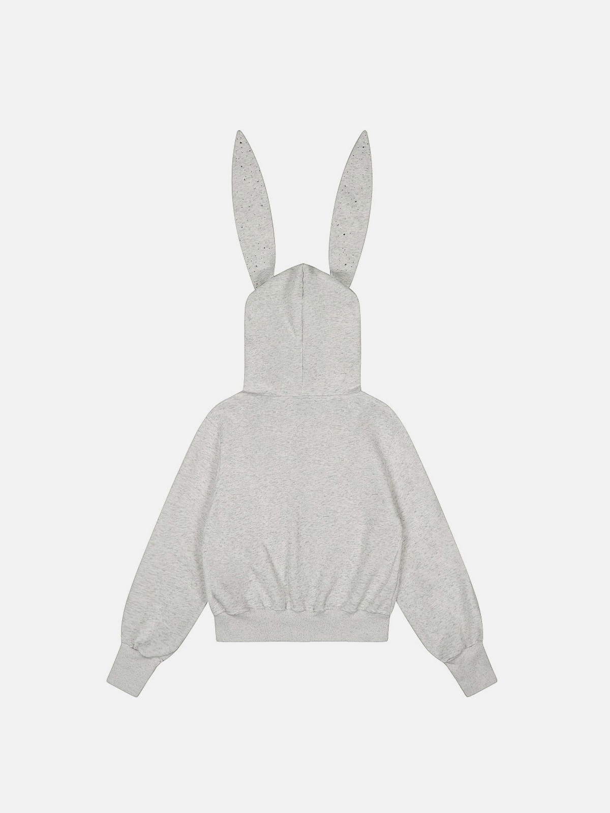 Aelfric Eden Rhinestone Bunny Ear Cropped Zip Up Hoodie