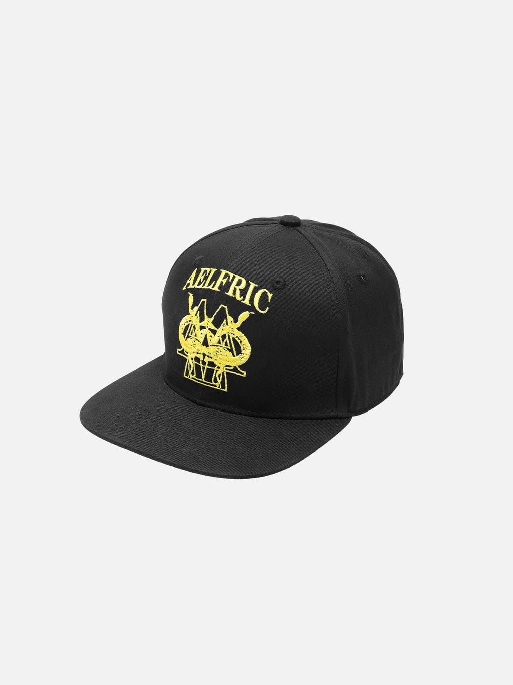 Embroidered Structured Snapback Cap
