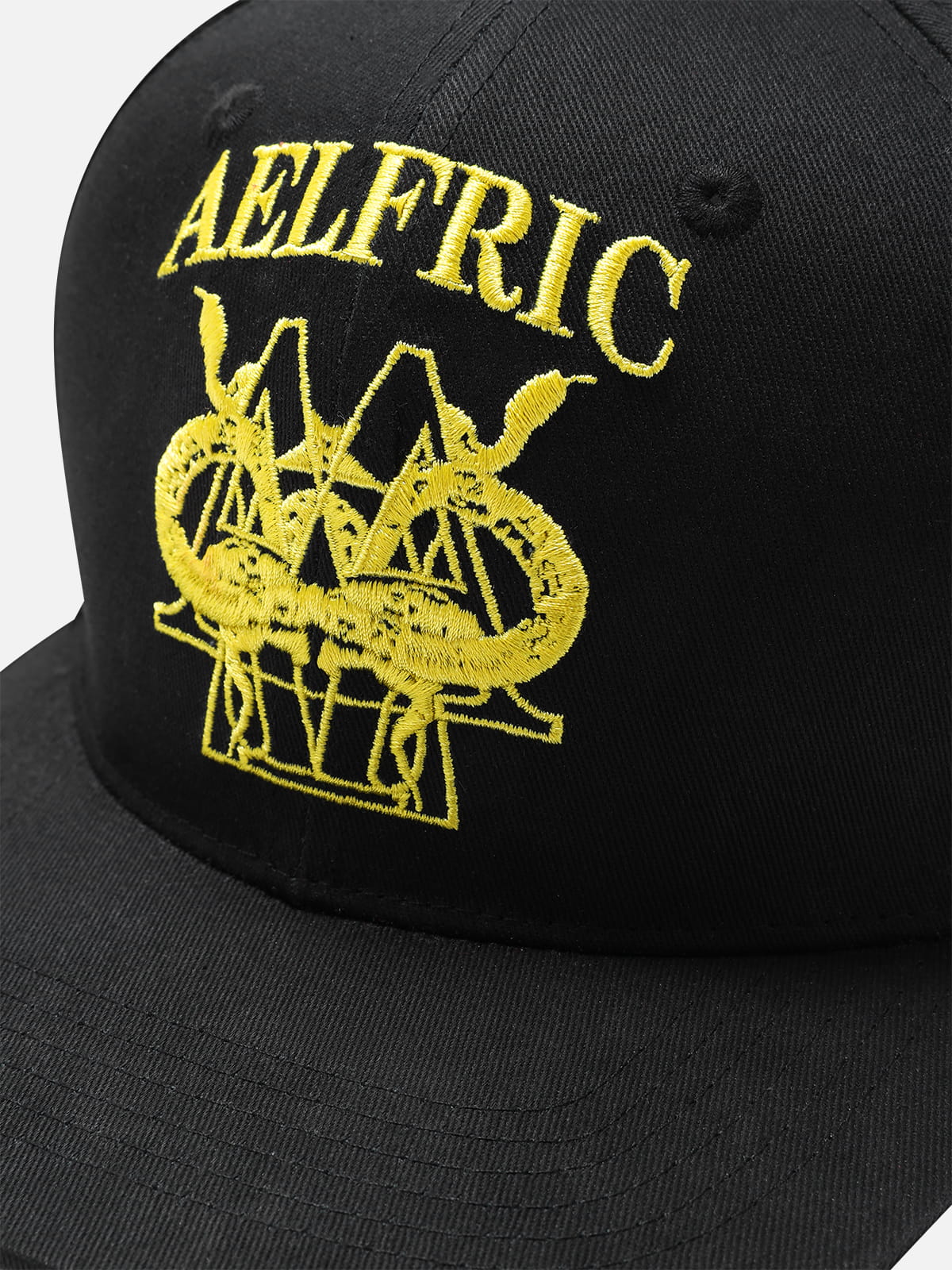 Embroidered Structured Snapback Cap