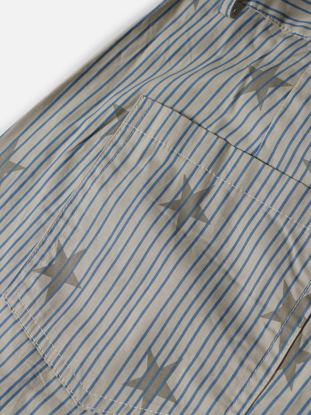 Aelfric Eden Stripe Star Pants