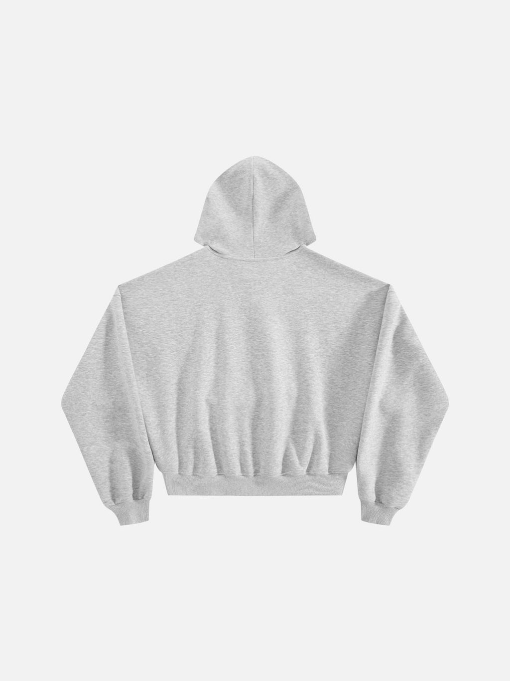 Aelfric Eden Boxy Dachshund Graphic Pullover Hoodie