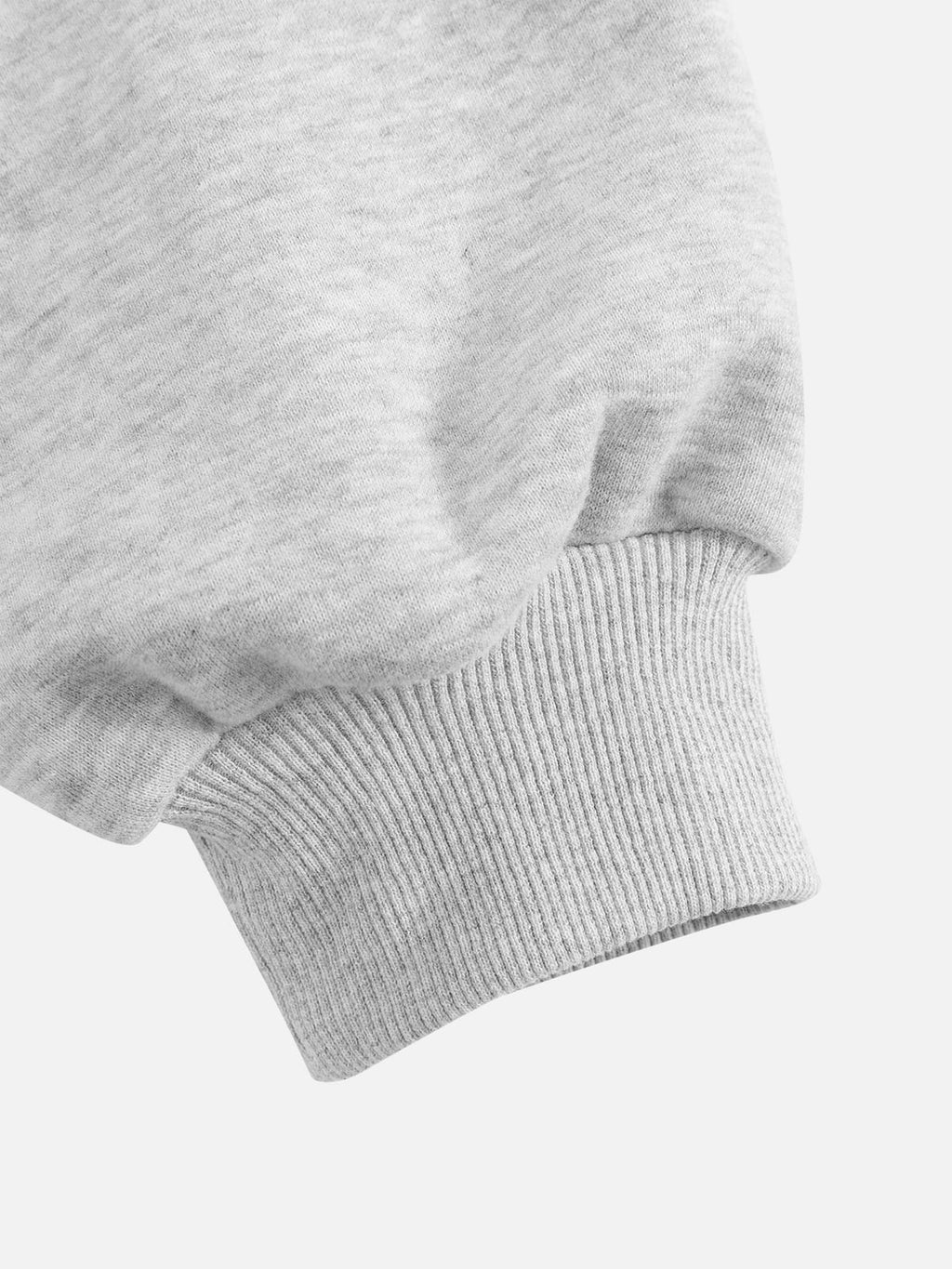 Aelfric Eden Boxy Dachshund Graphic Pullover Hoodie