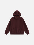 Aelfric Eden Half Zip Pullover Hoodie