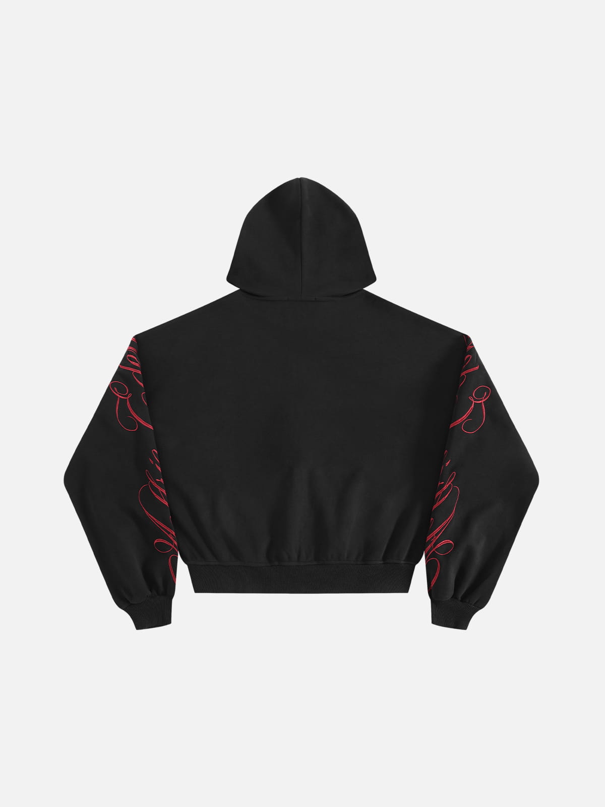 Aelfric Eden Boxy Script Embroidery Zip Up Hoodie
