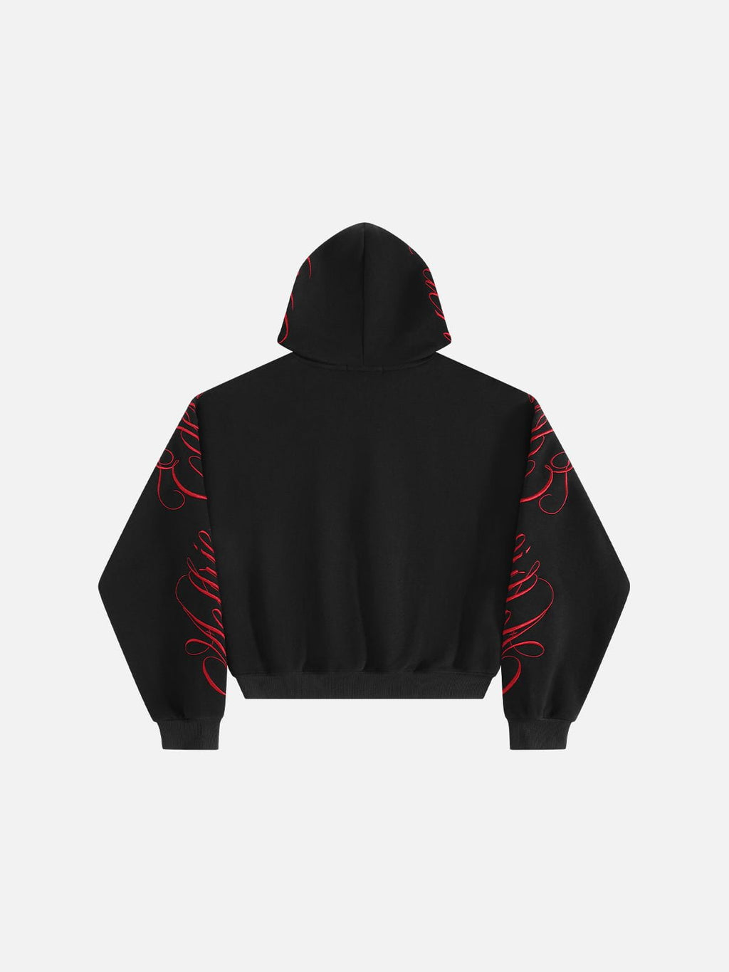 Aelfric Eden Boxy Script Embroidery Pullover Hoodie