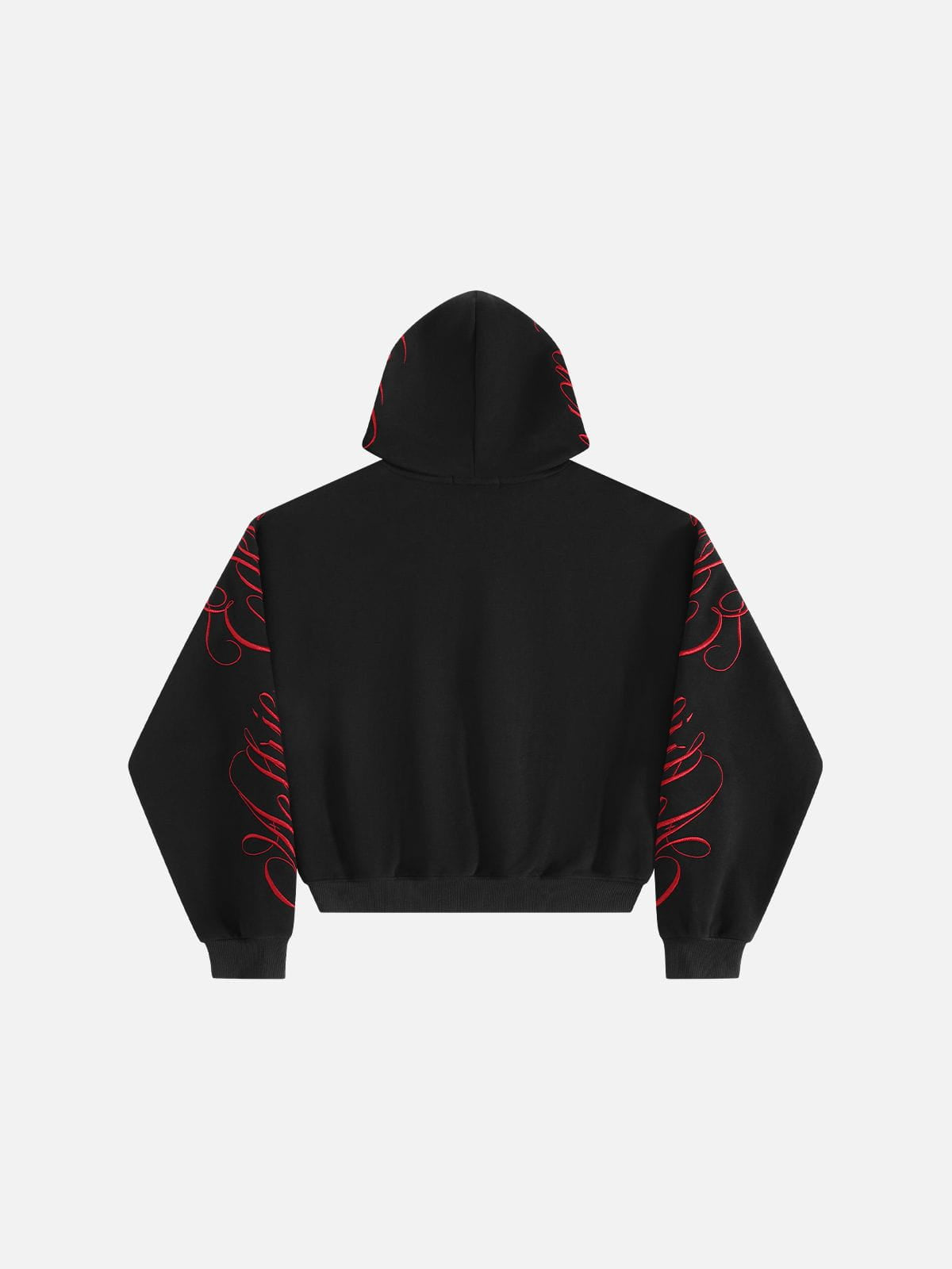 Aelfric Eden Boxy Script Embroidery Pullover Hoodie