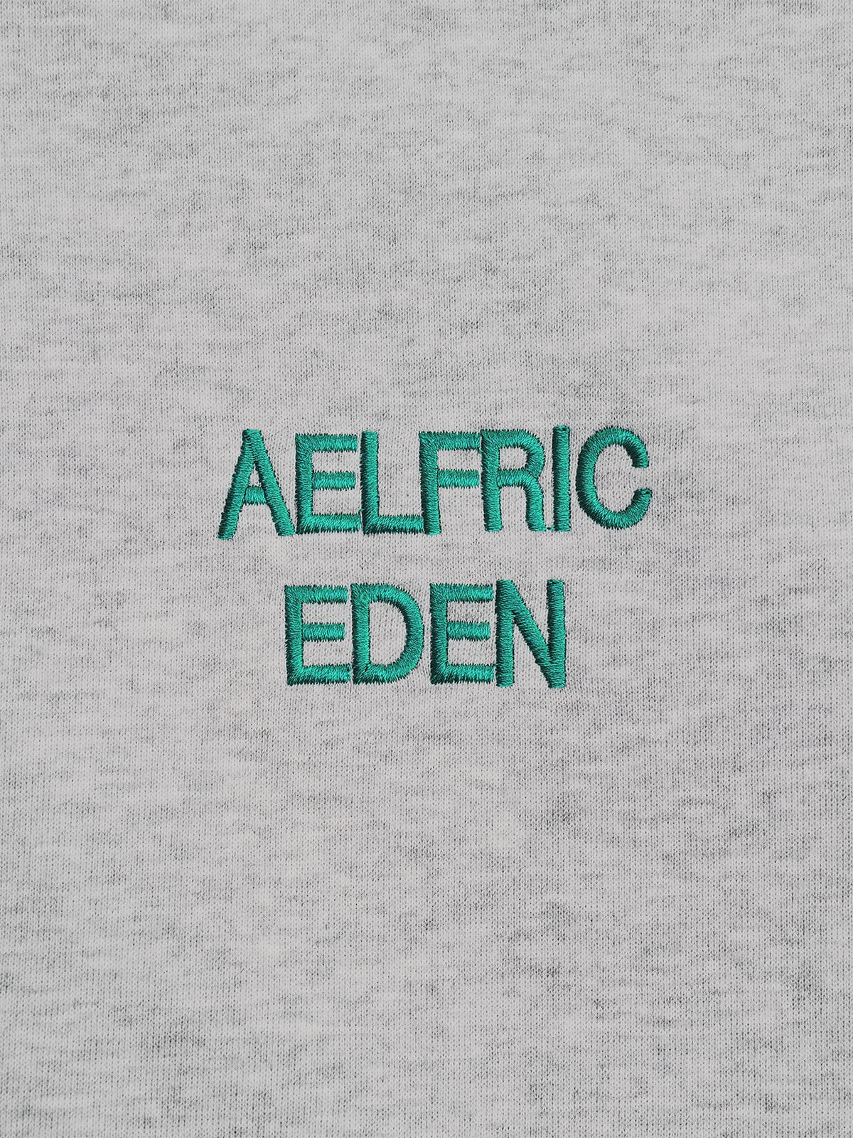 Aelfric Eden Boxy Graphic Zip Up Hoodie