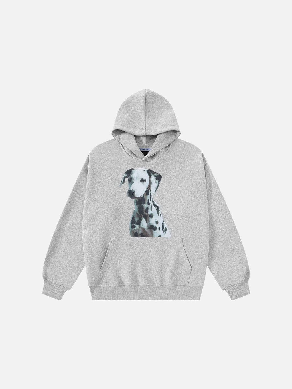 Aelfric Eden Dalmatian Graphic Pullover Hoodie