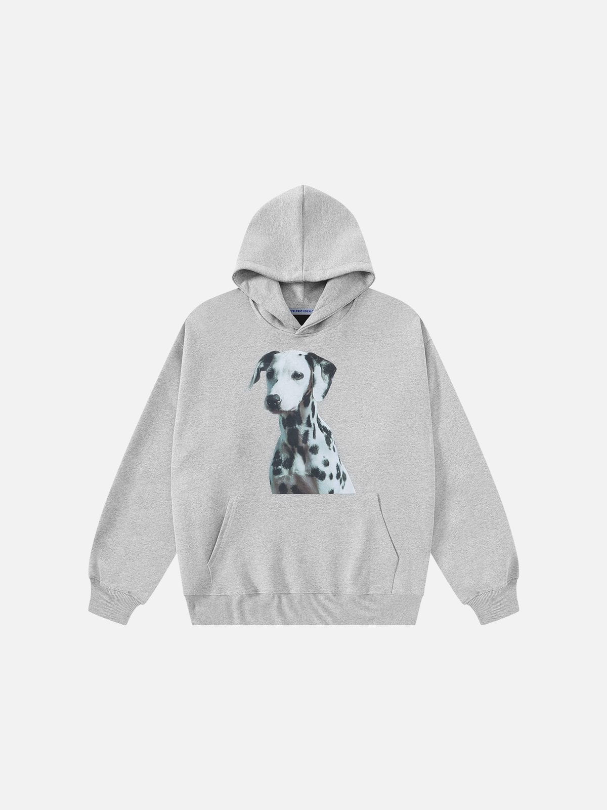 Aelfric Eden Dalmatian Graphic Pullover Hoodie