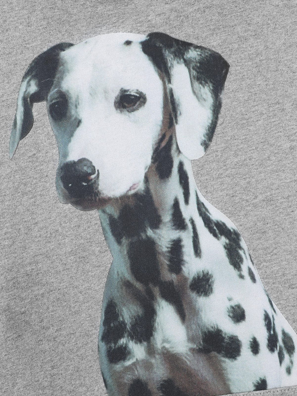 Aelfric Eden Dalmatian Graphic Pullover Hoodie