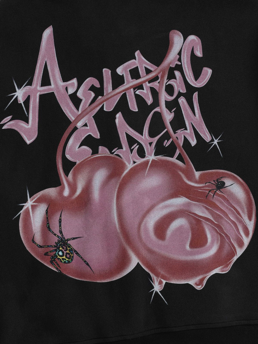 Aelfric Eden Boxy Spider Cherry Hoodie